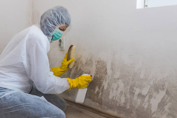 Mold Remediation for Vacation Homes in Wrightsville, GA