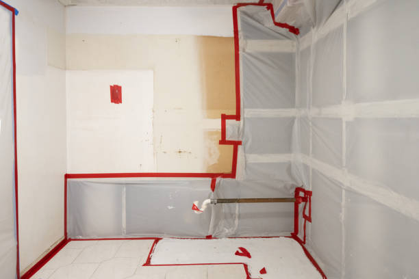 Best Biohazard Mold Removal  in Wrightsville, GA