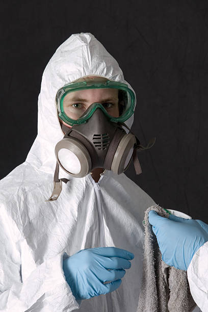 Environmental Consulting for Mold Prevention in Wrightsville, GA